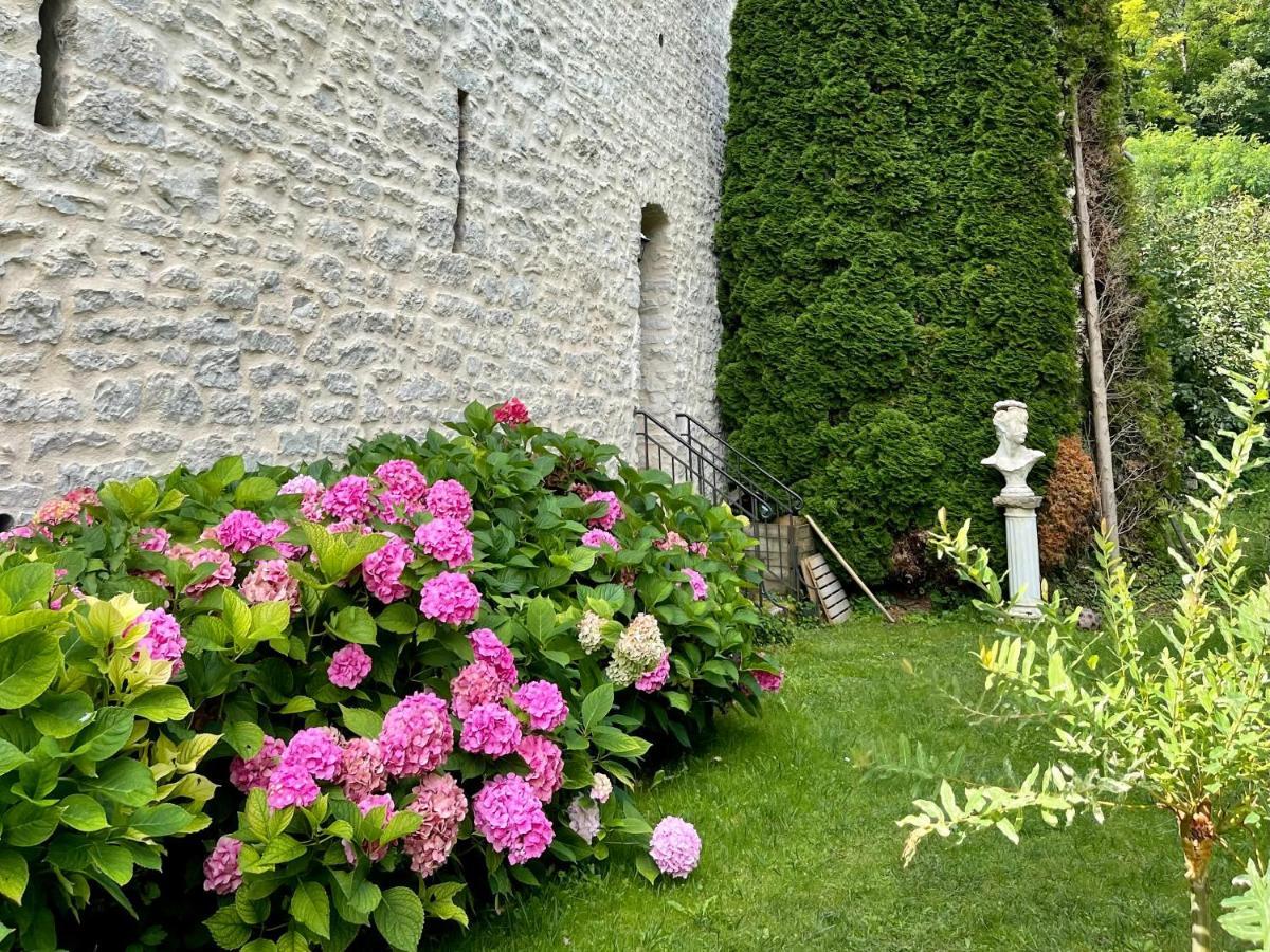 Bed and Breakfast Manoir Saint-Pierre à Villersexel Extérieur photo